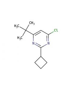Astatech 4-(TERT-BUTYL)-6-CHLORO-2-CYCLOBUTYLPYRIMIDINE; 1G; Purity 95%; MDL-MFCD21118856